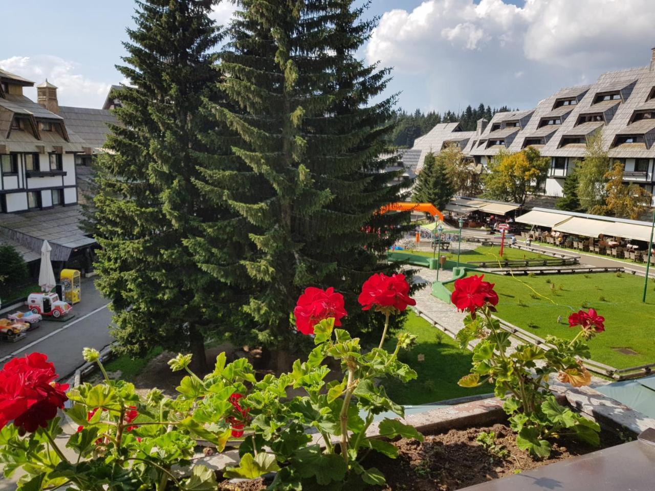 Apartments Mozaik Kopaonik Kültér fotó